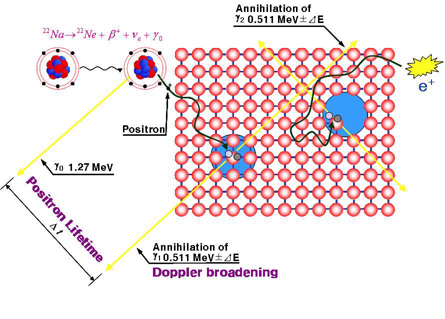 그림 3.2.2-12 양전자 소멸 측정 장치의 원리