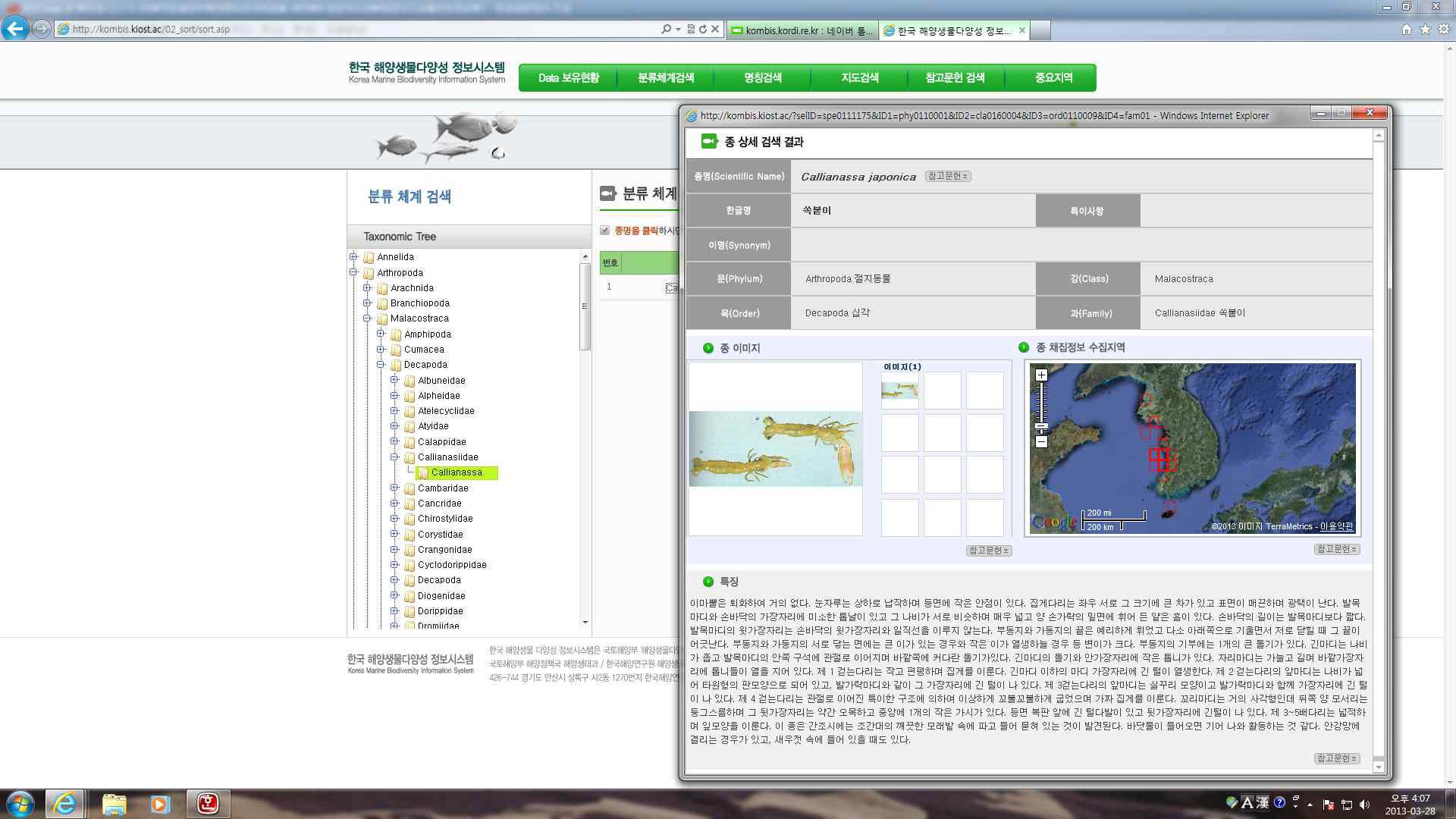 한국해양생물다양성 정보시스템의 정보창