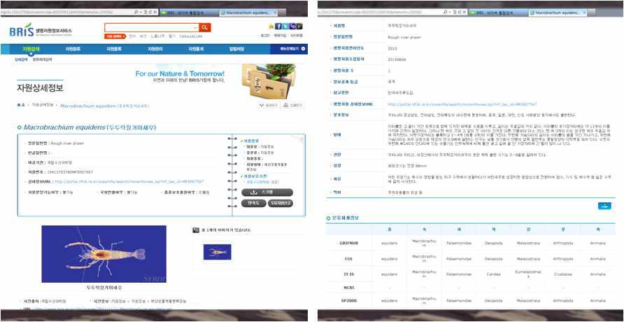 생명자원 정보서비스의 정보창