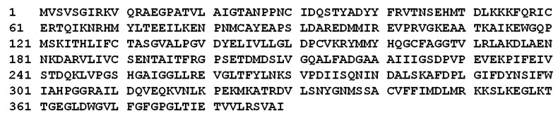그림 1-4. NCBI database에 등록된 RS 유전자(DQ124938)의 예측 아미노산 서열.