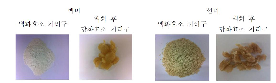 효소처리에 따른 백미 및 현미의 분말 가공특성