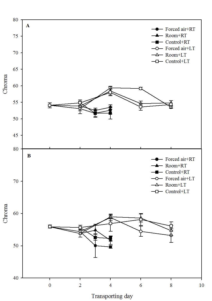 Fig. 8. Change in chroma value offruit during transporting at roomtemperature (20-25℃) or lowtemperature (8℃). A, Flamingo; B,Goha