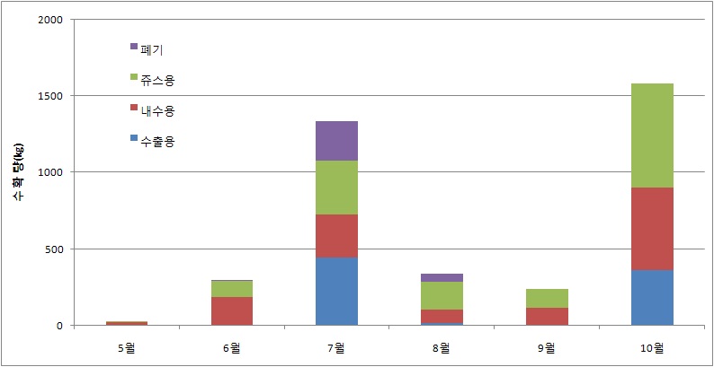 그림 7. 시기별 수확한 여름딸기 상품과 출하특성