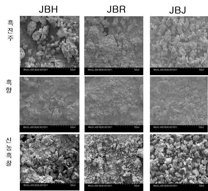 그림 4. 진도 검정쌀 미세분말의 SEM