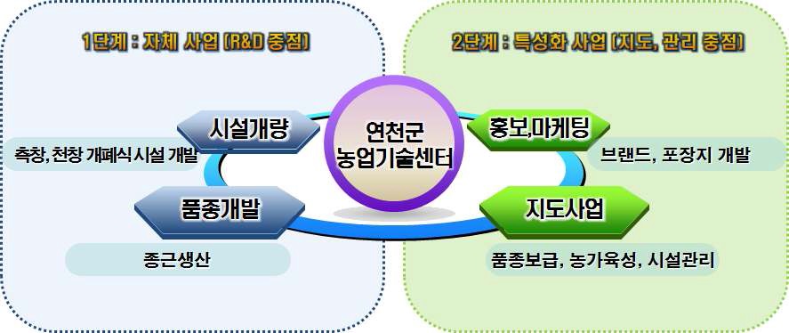 [연천군 우수사례 모델의 특징]