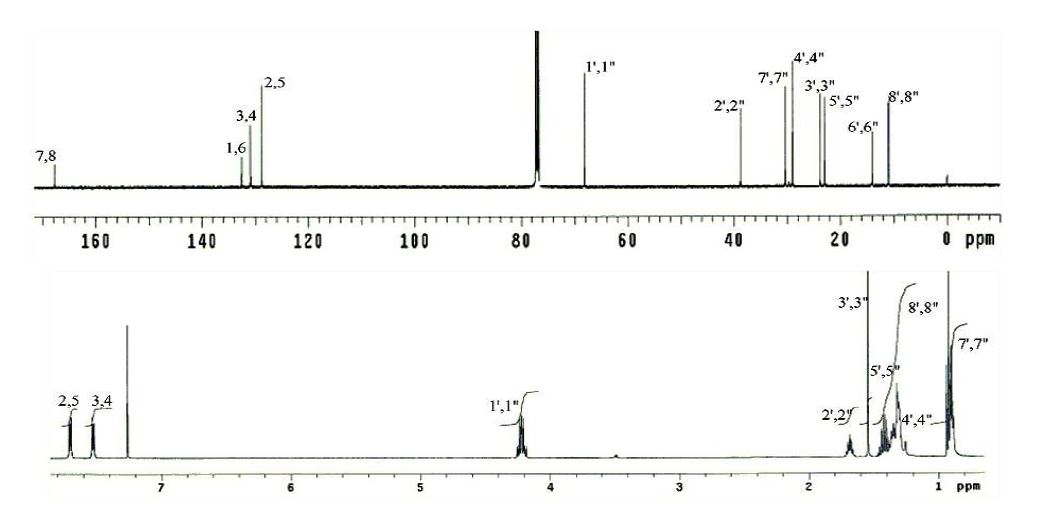 Fig. 14. 1H- (500 MHz) and 13C- (125 MHz) NMR spectra of compound 1 in CDCl3.