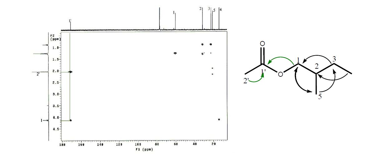Fig. 19. 1H, 13C-NMR-HBMC spectrum of compound 2 in CDCl3, internal standard TMS