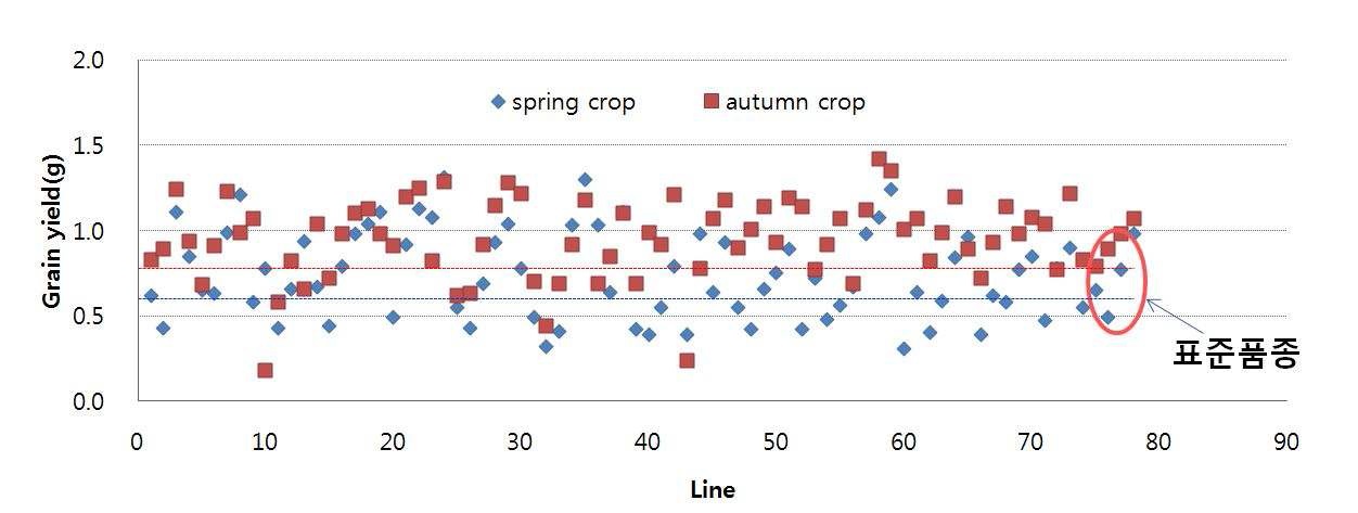 Figure 2. Fresh weight of tatary buckwheat collection according to different cropping