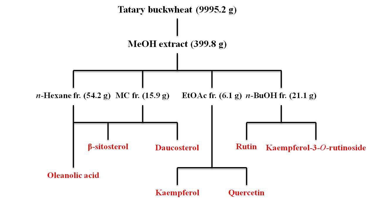 Figure 1. Scheme of extraction procedure