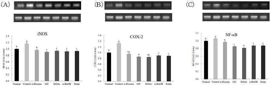 Figure 33. Effect of rutin and fractions from F . tataricum on mRNA expression ofiNOS (A) and COX-2 (B) and NF-κB (C) under H2O2 induced oxidative stress in C6 glial cell