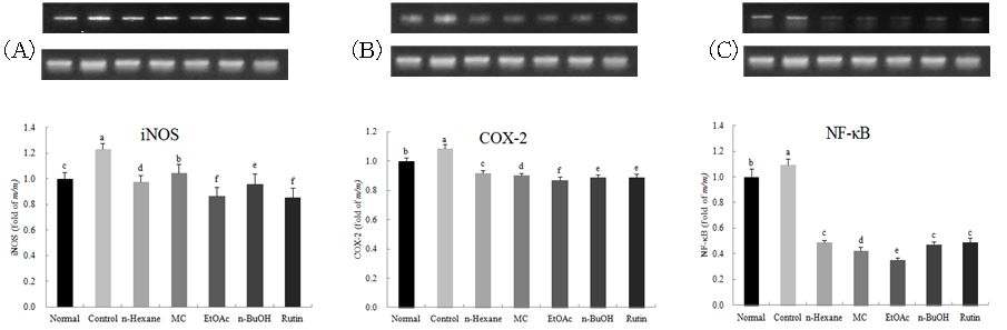 Figure 34. Effect of rutin and fractions from F . tataricum on mRNA expression ofiNOS (A) and COX-2 (B) and NF-κB (C) under SNP induced oxidative stress inRAW264.7 cell