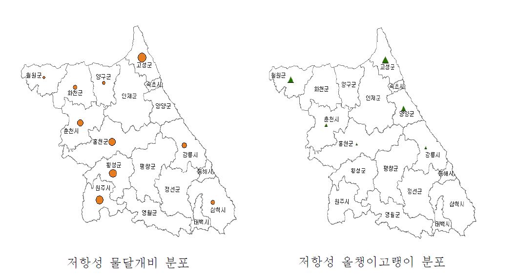 Fig 10. Distribution of resistant weed in Gangwon province. (2011)