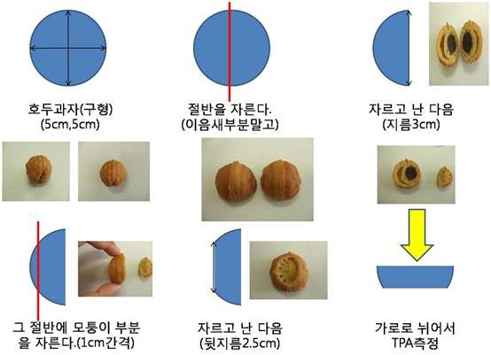 그림 2. 호두과자 물성측정 과정