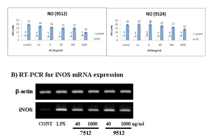 그림 25. LPS를 처리한 대식세포에서 NO생성 억제효과