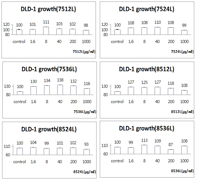 그림 43. DLD-1 세포에 대한 백삼 뿌리 추출물의 세포증식 유도효과