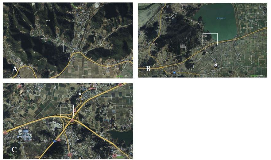 Fig. 1. Orchard position (square line) for research of forest damage in Buan province in 2010