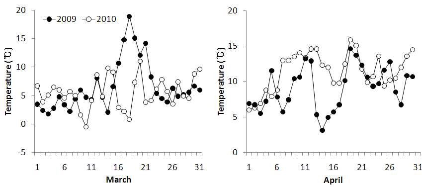 Fig. 2. Daily mean temperature of March and April in Buan province in 2009 and 2010