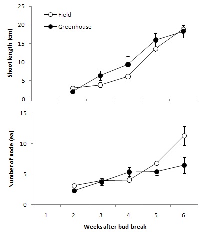 Fig. 1. Change of shoot length and number of node by cultivation type after bud-break of mulberry in Buan-gun, Jeollabuk-do in 2011. Bars are SE.