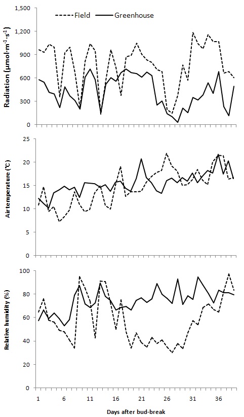 Fig. 2. Change of daily mean radiation, temperature, and relative humidity by cultivation type after bud-break of mulberry in Buan-gun,