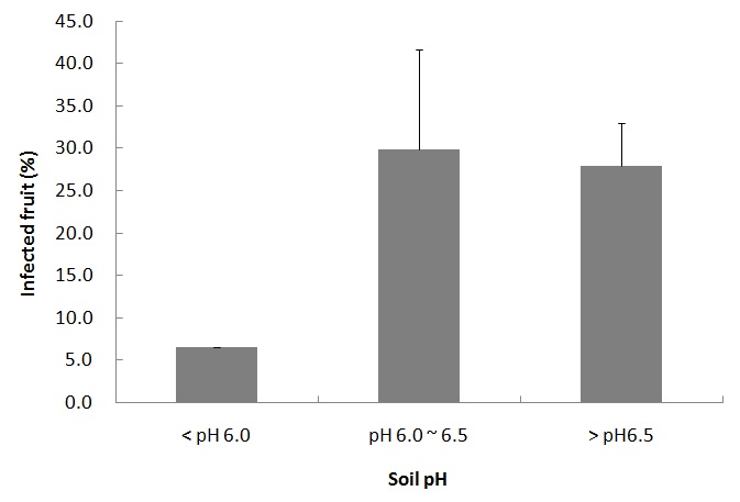 Fig. 4. Infected fruit percentage of popcorn disease of ‘Gwasang no. 2’ mulberry according to soil pH at Buan-gun in 2010. Bars represent standard error