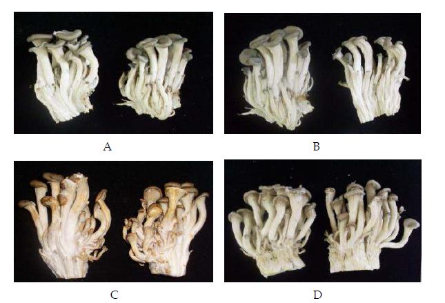 Fig. 2-1. Appearance comparison between pre- and post-storage quality of oyster mushroom