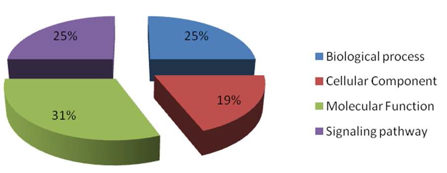 Fig. 2-3. Ontology classification of total 1,240 genes