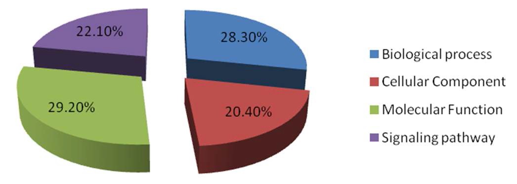 Fig. 2-4. Ontology classification of 362 down-regulated genes