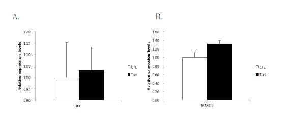 Figure 2-8. Expression levels of immue response-involved genes in the liver tissue of pigs fed the fermented feed