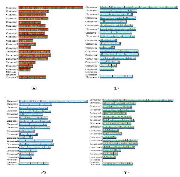 Figure 2-12. Distribution of DNA methylation signals according to porcine chromosomes