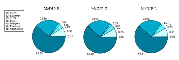 Figure 2-15. Classification of MRIs according to genomic regions.