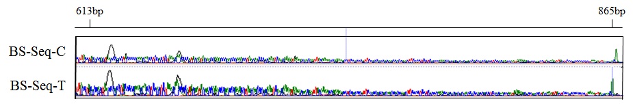 Figure 2-17. Distribution of DNA methylation signals in pig