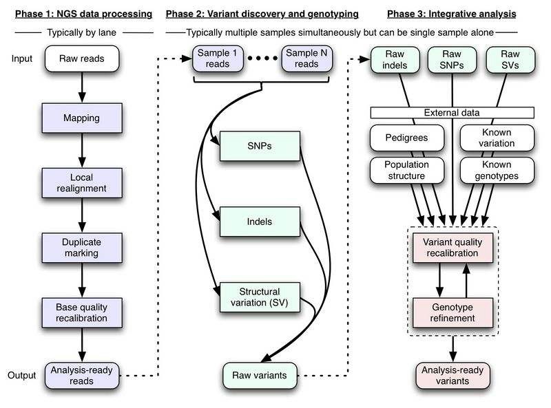 Figure 6-1. Processes of next generation sequencing data