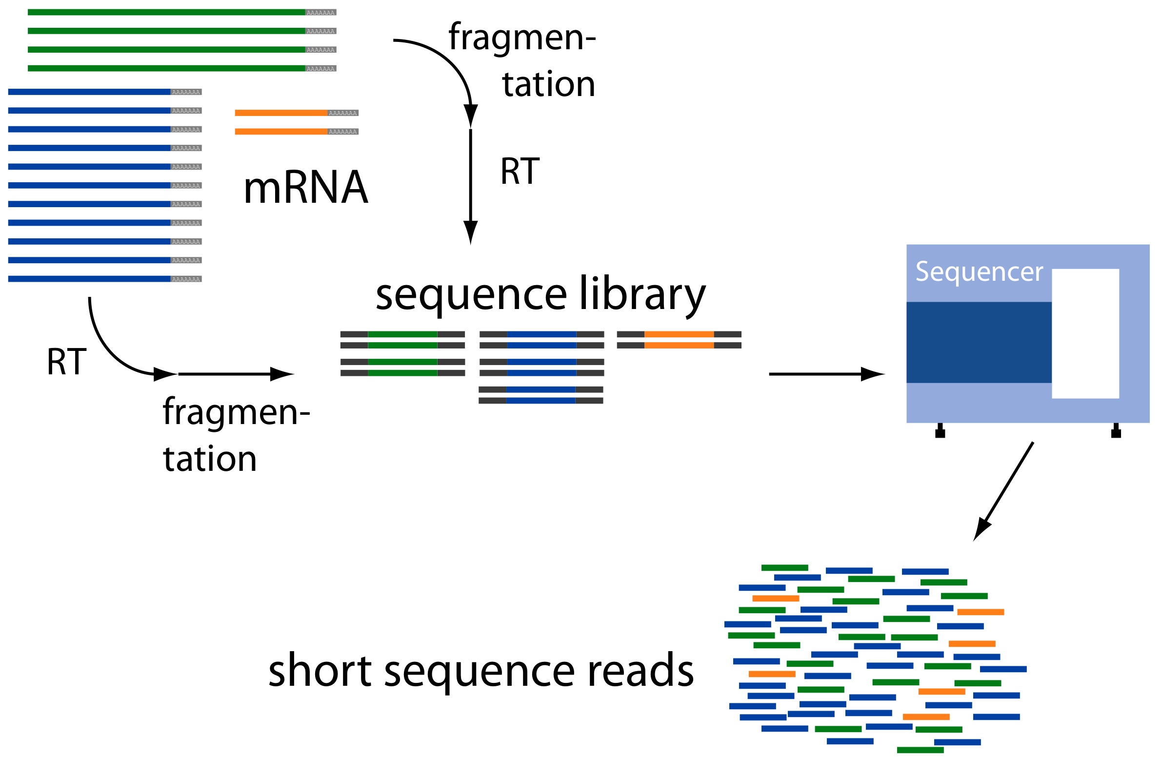 Figure 6-2. Overview of next-generation transcriptome sequencing