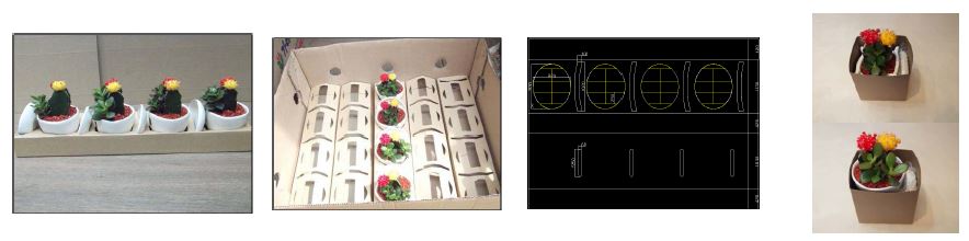 그림 6. 새로 개발한 완성형 다육식물 화분 고정대와 박스 모습