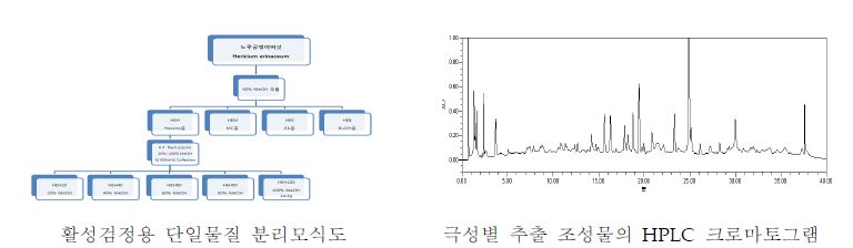 그림 10. 버섯성분 분리모식도 및 극성별 추출물의 HPLC 크로마토그램