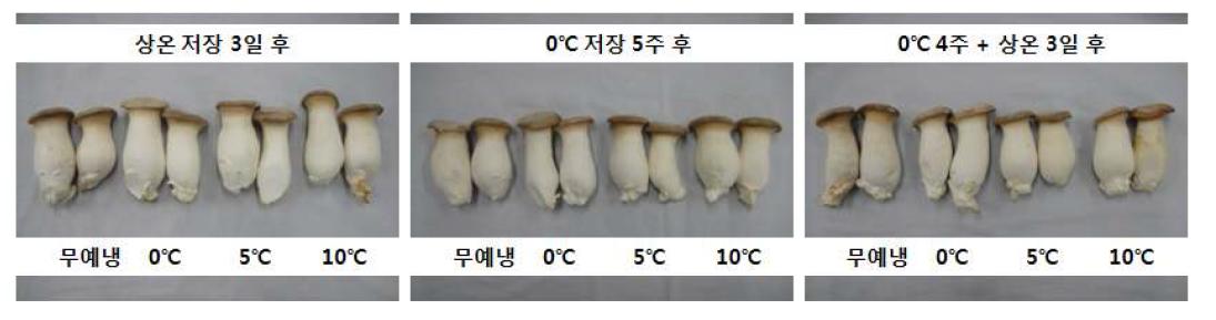큰느타리버섯 예냉온도에 따른 외관품질