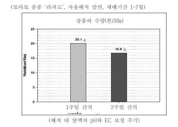 암면 내 양액의 pH 및 EC 조정 주기별 토마토 수량