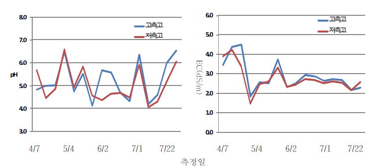 배지 내 양액의 pH와 EC 변화