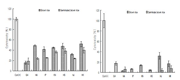 Fig. 7. Anti-proliferative activities of ethanol extracts from various rice cultivars on breast cancer(left, MCF-7) and colorectal cnacer(right, HCR116) cell lines