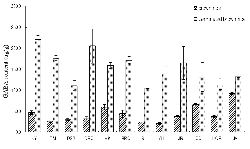 그림 4. 품종별 현미의 발아 전 • 후의 GABA 함량