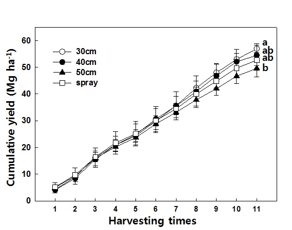 그림 5. 지중관수 호스 간격에 따른 상추 선풍품종의 누적 수량 변화