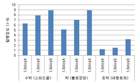 수박과일썩음병균 접종농도별 인공접종에 따른 수박, 박 및 호박 품종의 발병정도 비교.