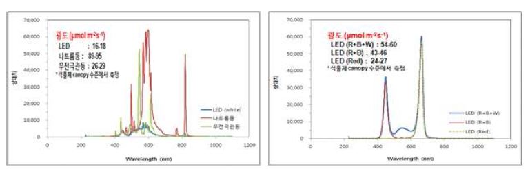 그림 2. 공정육묘 시스템에서의 광원별 광질 분석.