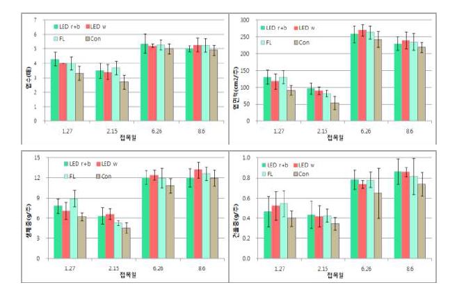 그림 8. 접목활착실의 보광이 오이 접목묘의 생육에 미치는 영향