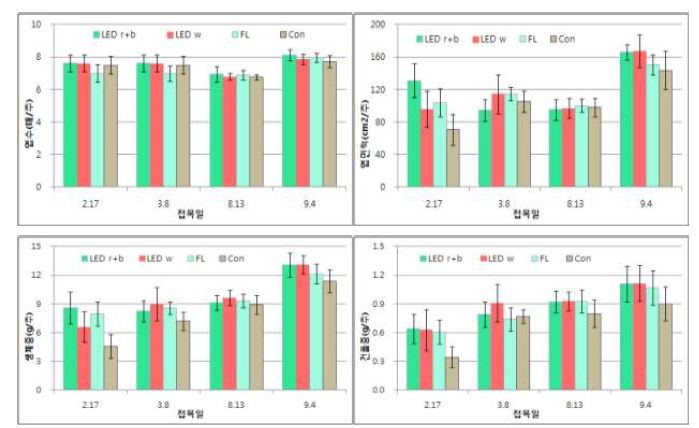 그림 9. 접목활착실의 보광이 토마토 접목묘의 생육에 미치는 영향