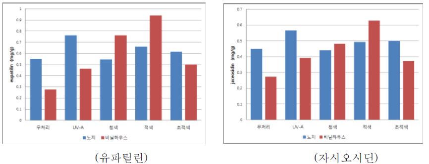 그림 8. 노지와 비닐하우스 재배 약쑥의 유파틸린 및 자시오시딘 함량