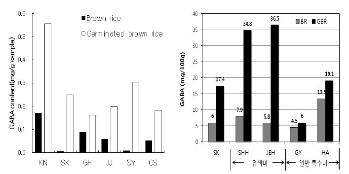 Fig. 11. GABA contents of brown rice(BR) and germinated brown rice(GBR) on rice cultivars in 2011(A), 2012(B).