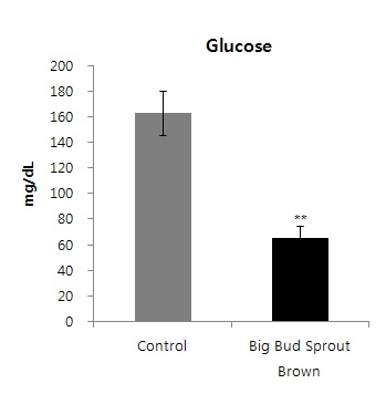 Fig. 17. Concentration of glucose from blood of mice. Values are expressed as the mean±SEM