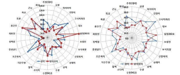 그림 13. 현미밥 및 발아현미밥의 경도(좌) 및 탄력성(우) 측정결과