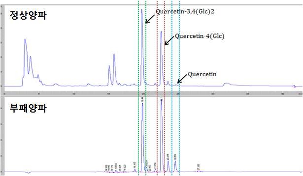 그림 3. 양파 메탄올 추출물의 HPLC Chromatogram